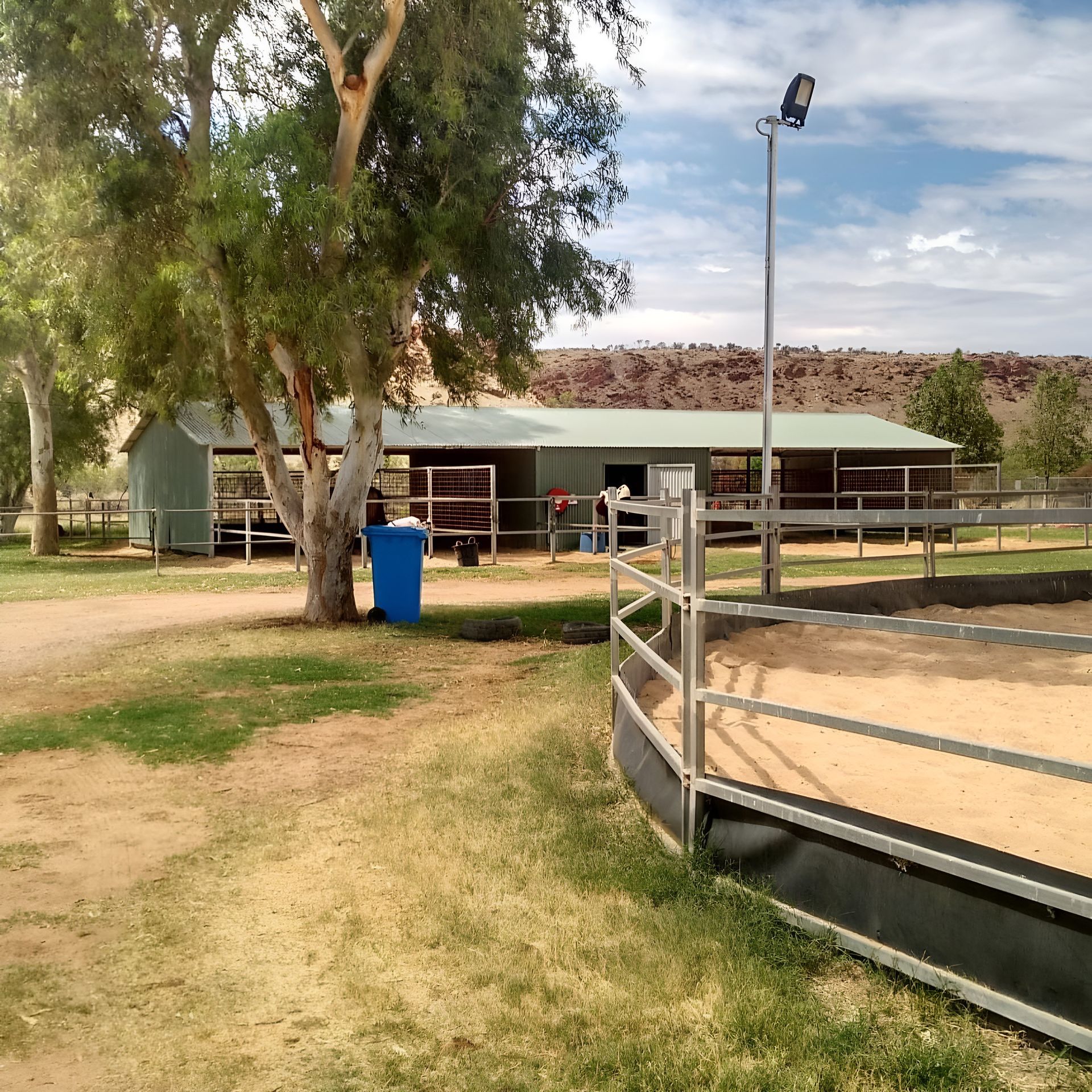 Rural horse arena with a round pen, green barn, large tree, and blue trash bin under a partly cloudy sky — Blatherskite Park in Ilparpa, NT