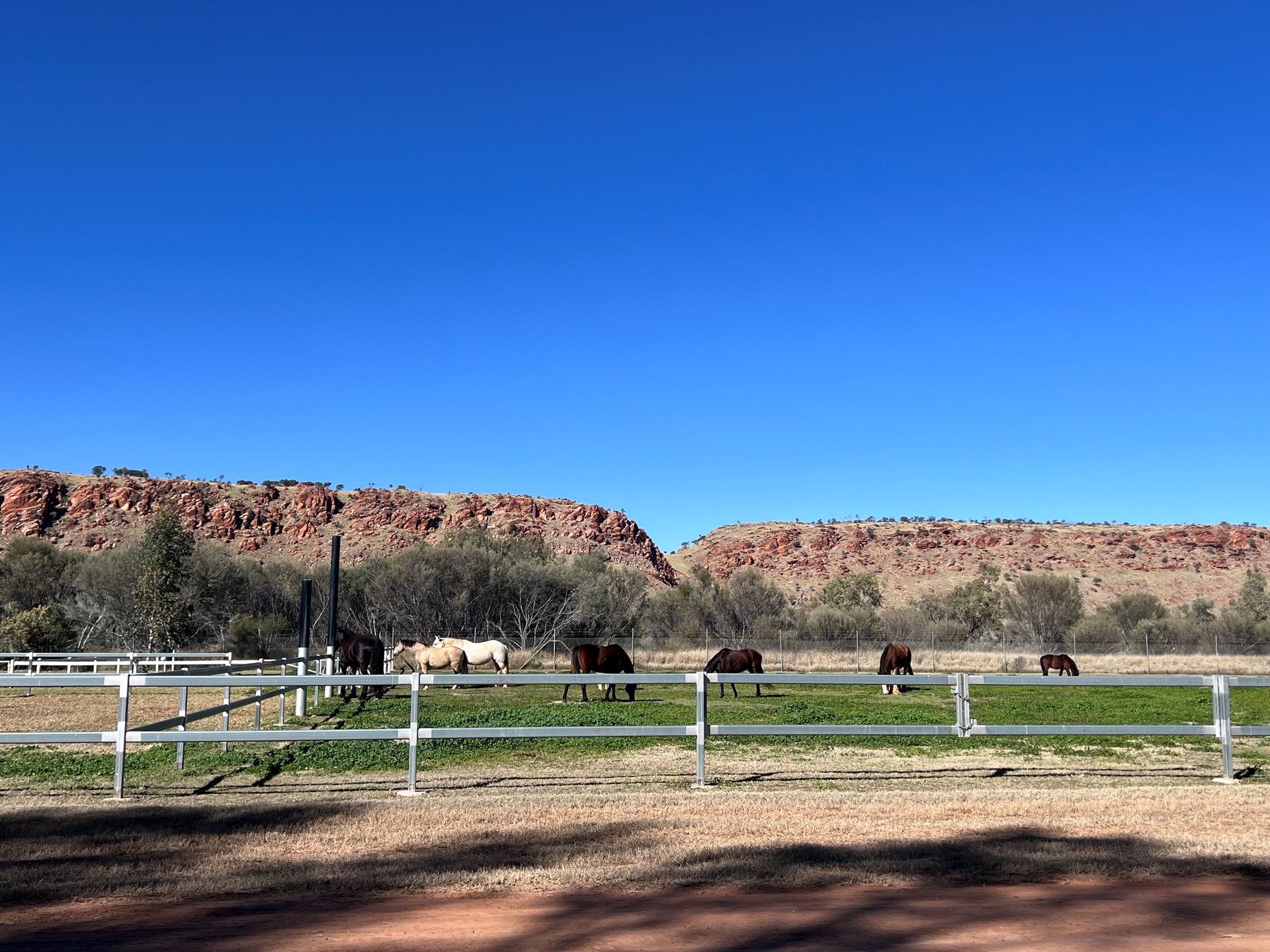 Rural Field with White Fence in Front of Red Rock Cliffs Under a Clear Blue Sky — Blatherskite Park in Ilparpa, NT