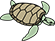 A turtle is swimming in the water on a white background.