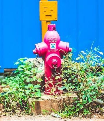 Pink fire hydrant surrounded by green plants, against blue and yellow background.