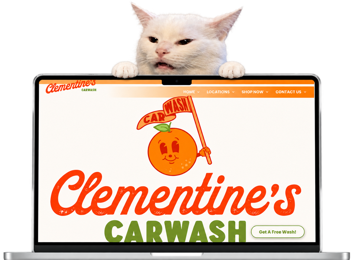 lady pointing and mad at cat meme Cleamentine car wash website marketing OhmCo is the best carwash websites
