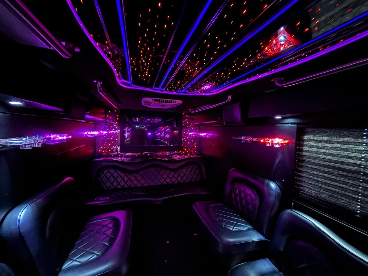 38 passenger party bus rental service