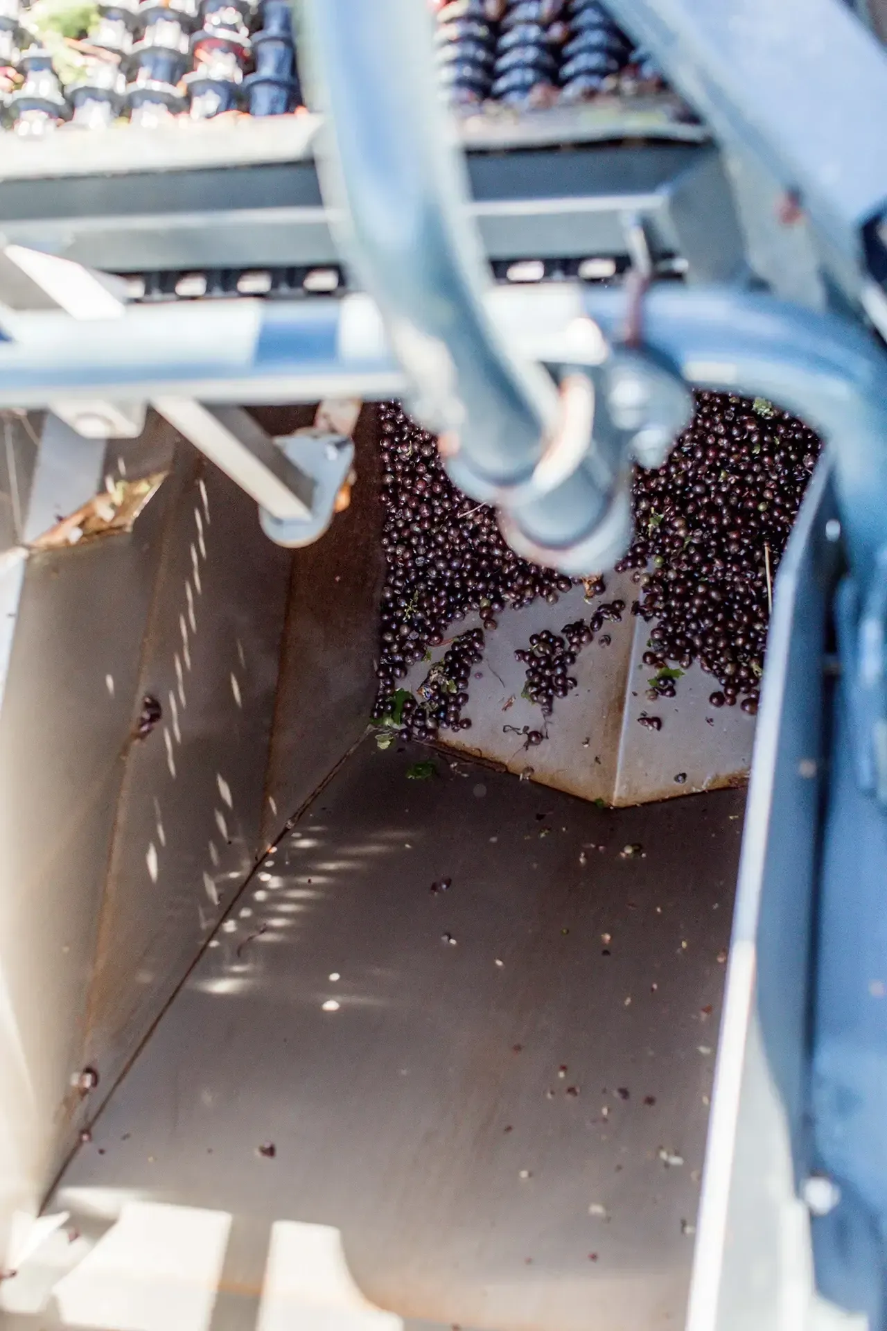 nz-wineries-gallery