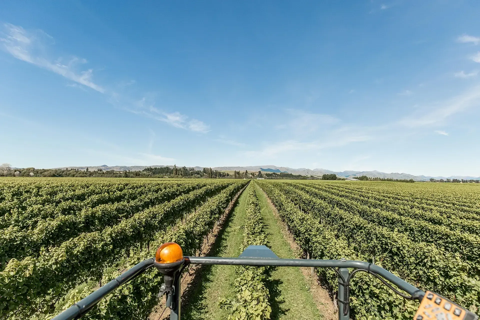 nz-wineries-gallery