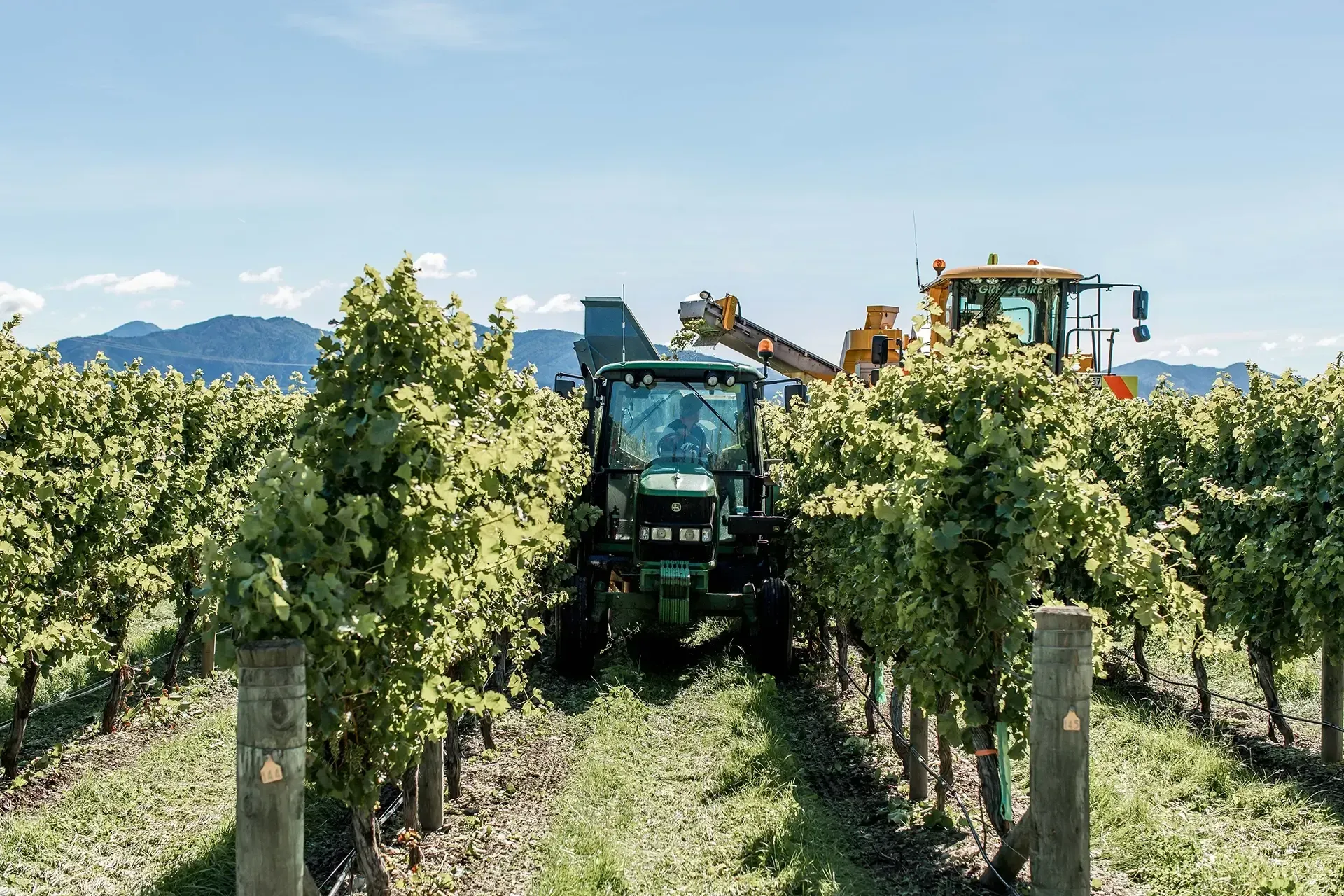 nz-wineries-gallery