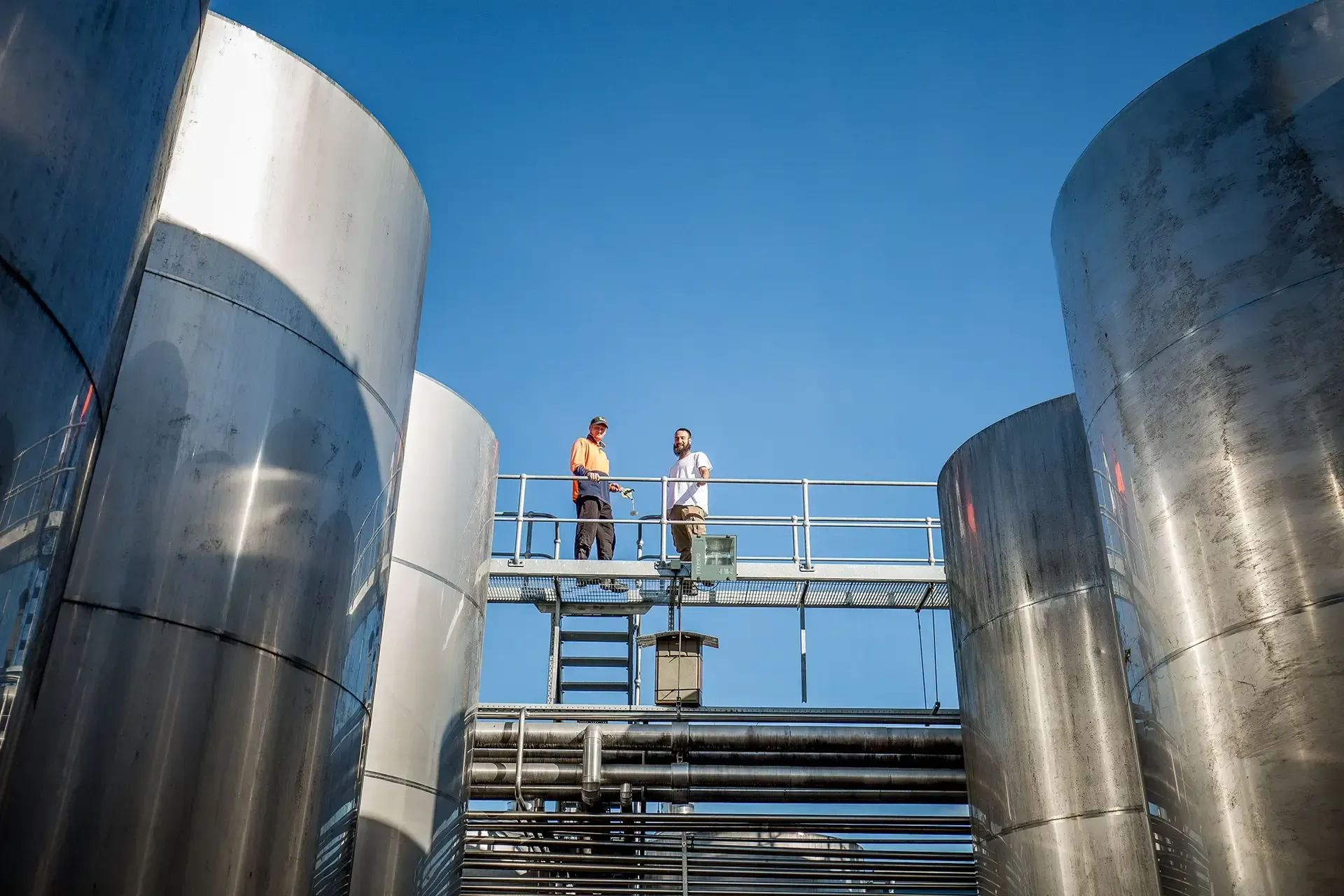 nz-wineries-gallery