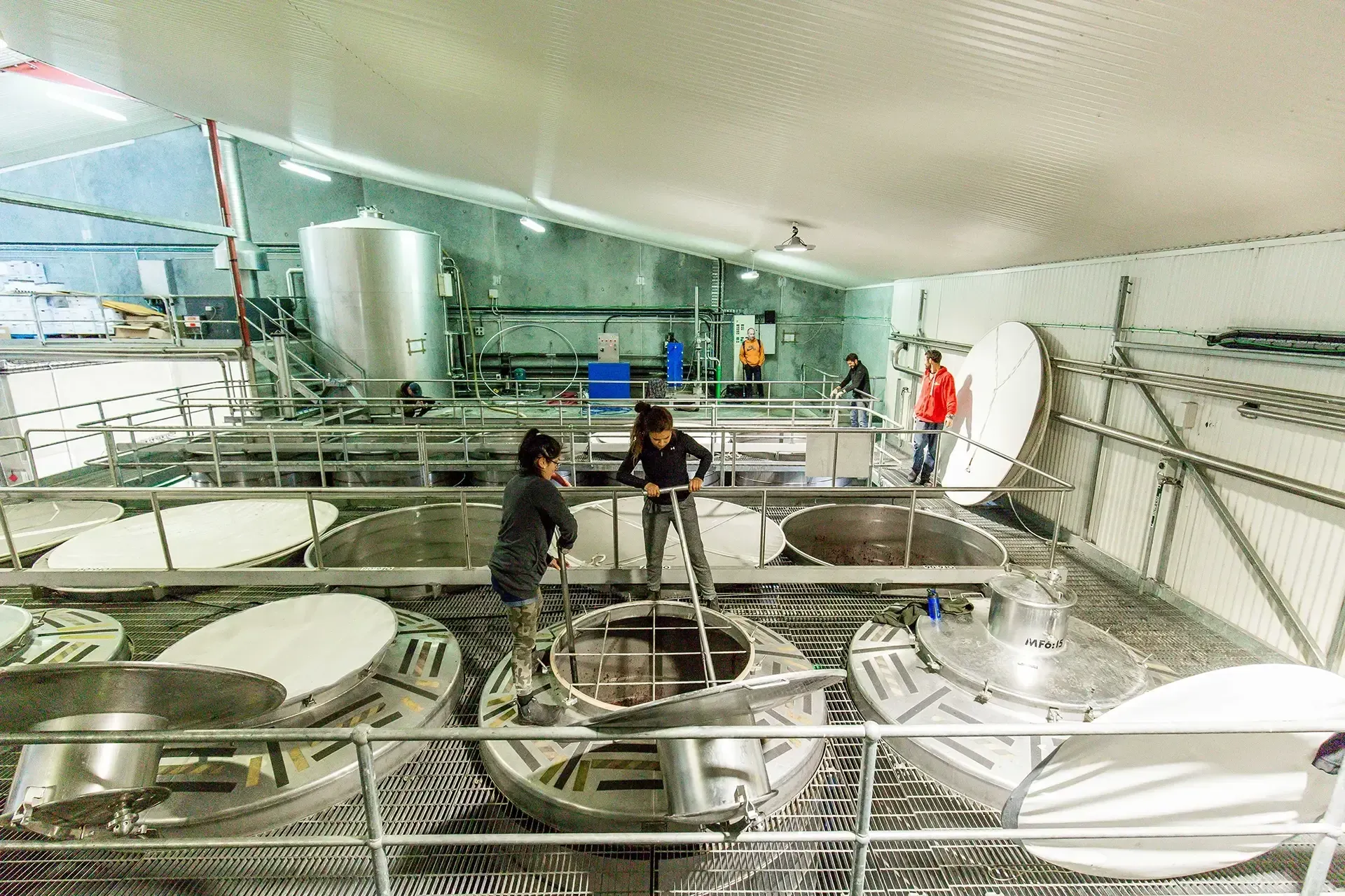 nz-wineries-gallery