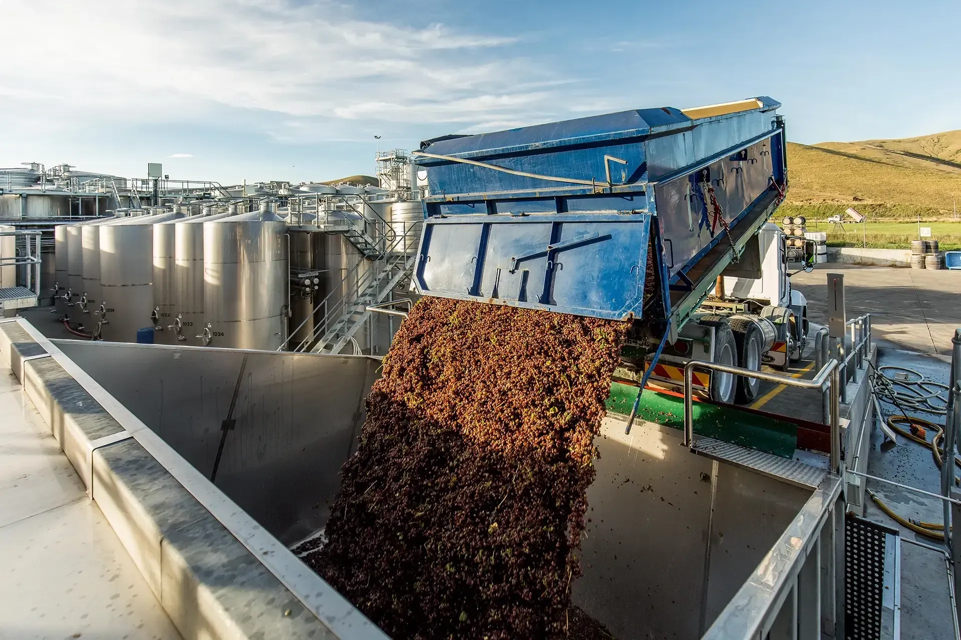 nz-wineries-gallery