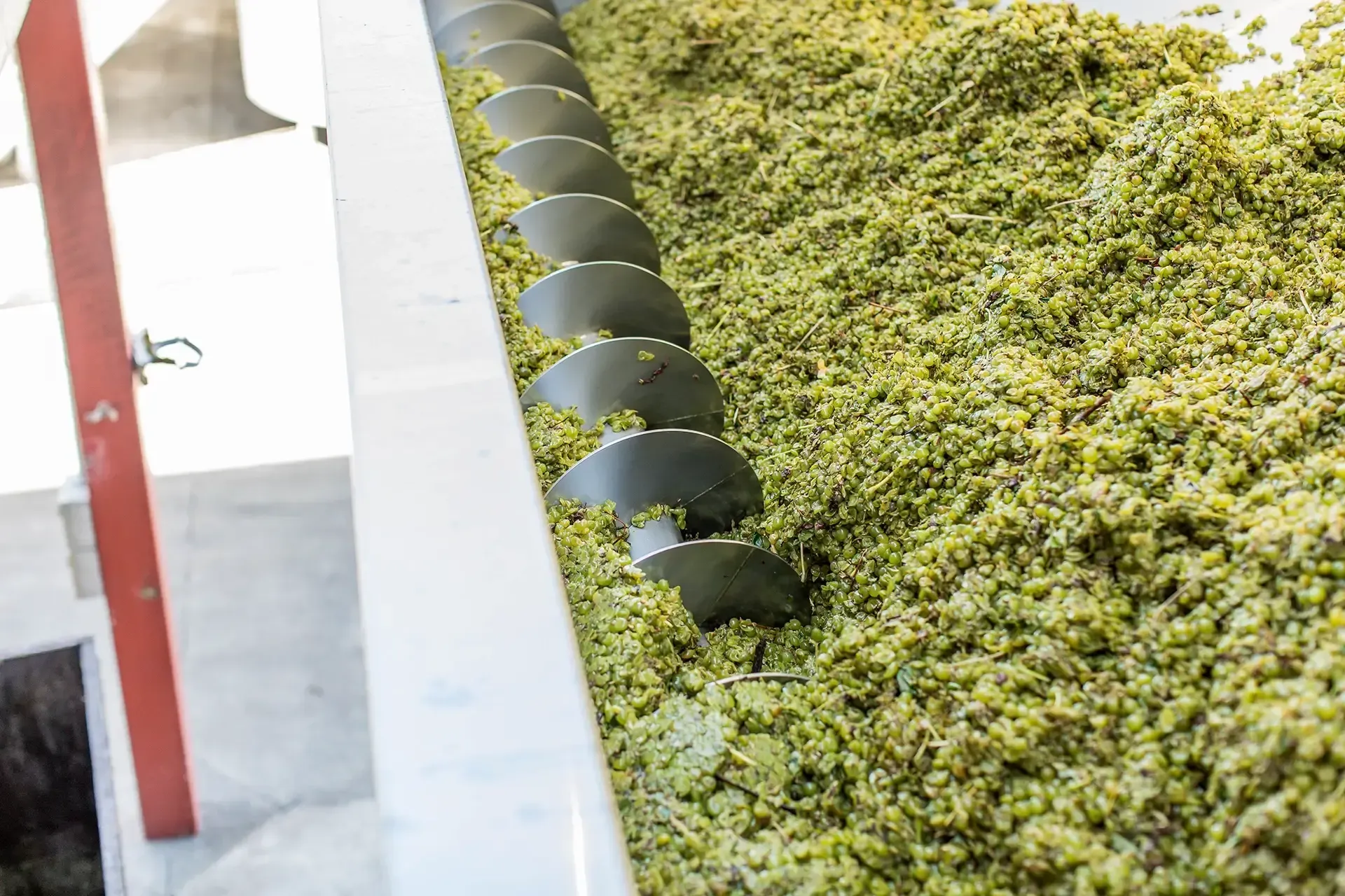 nz-wineries-gallery