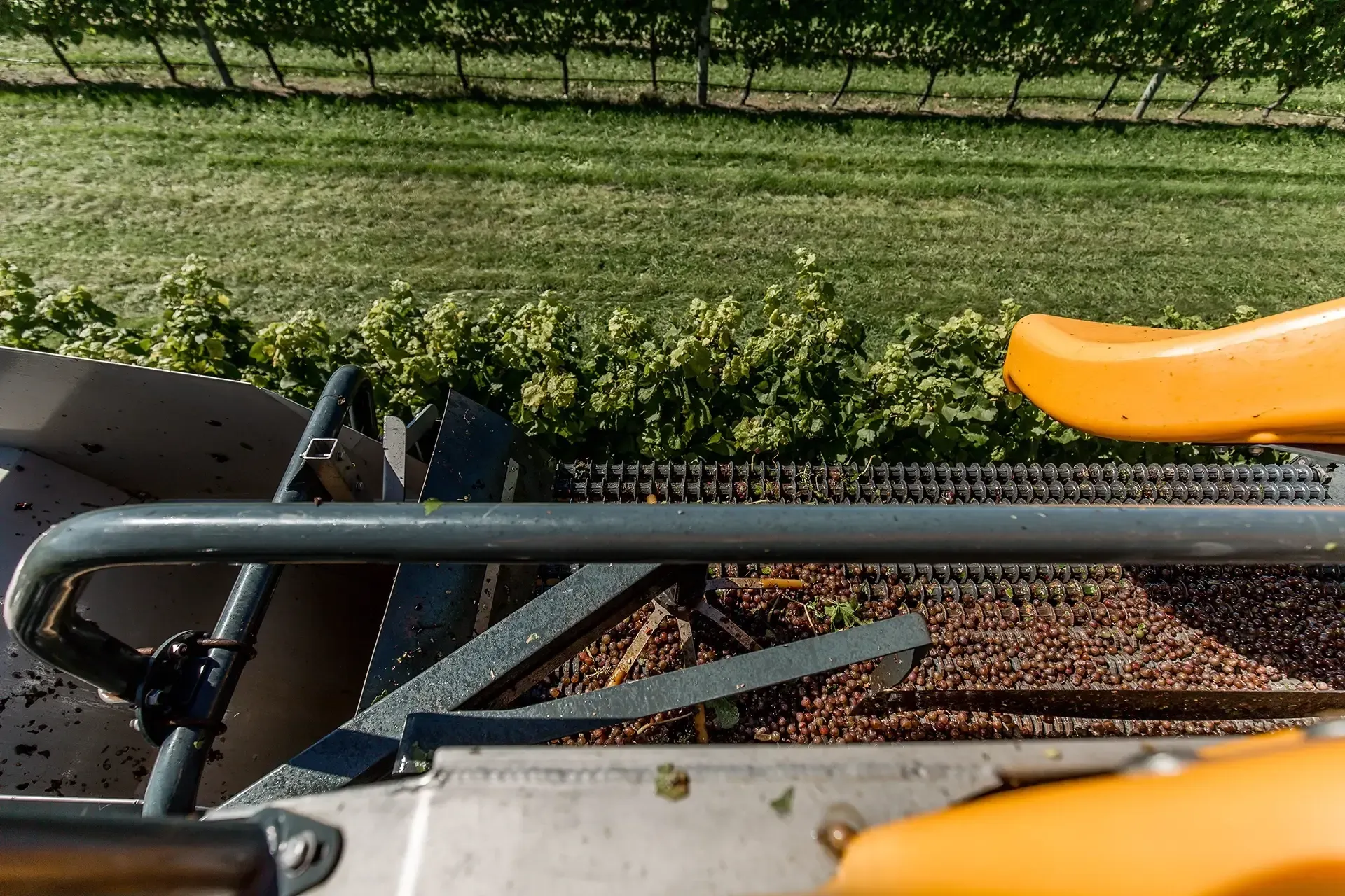 nz-wineries-gallery