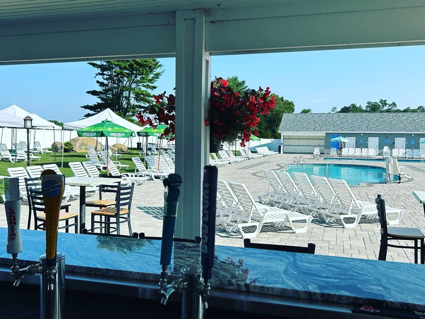 A bar with a view of a pool and chairs