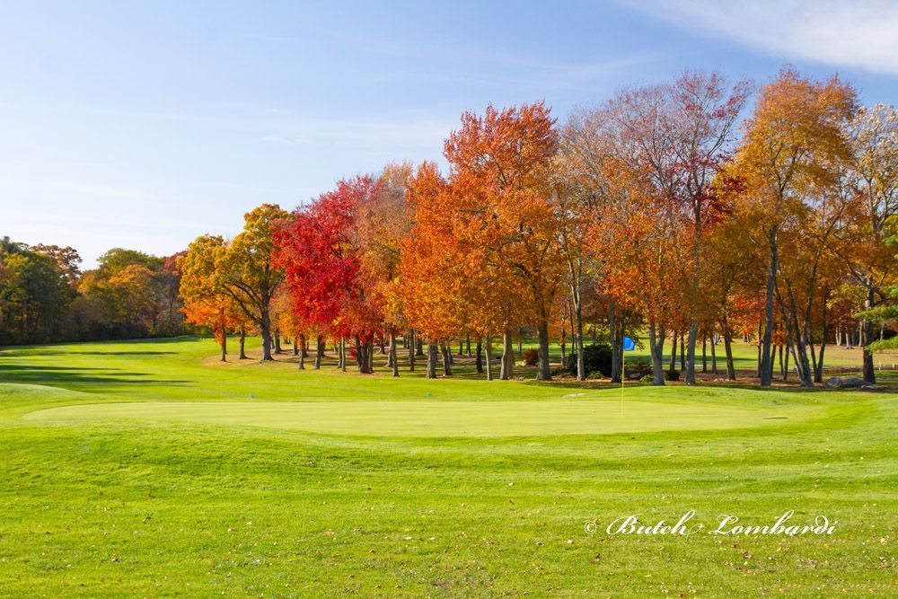 A golf course with a green and trees in the background