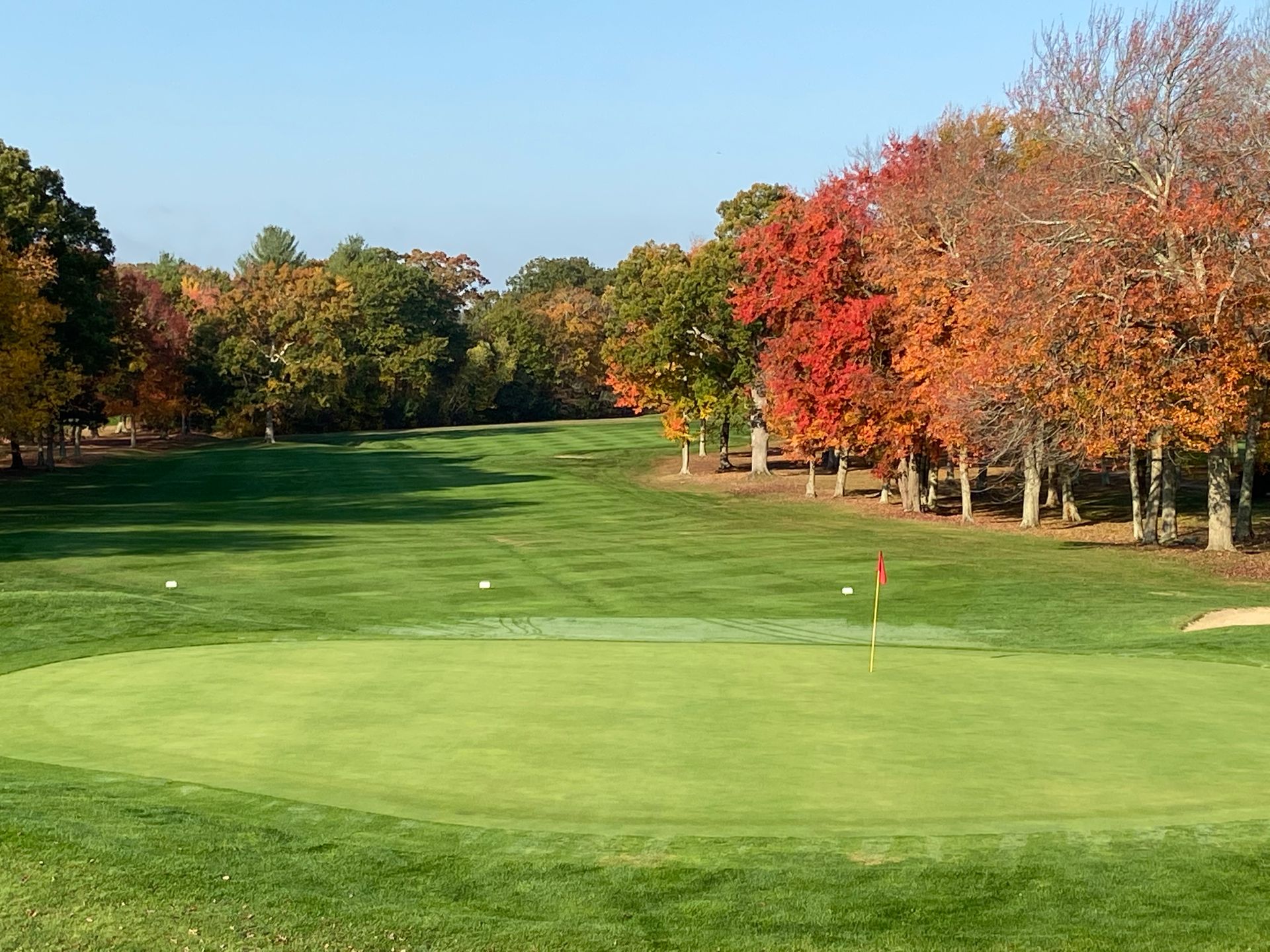 A golf course with a green and trees in the background