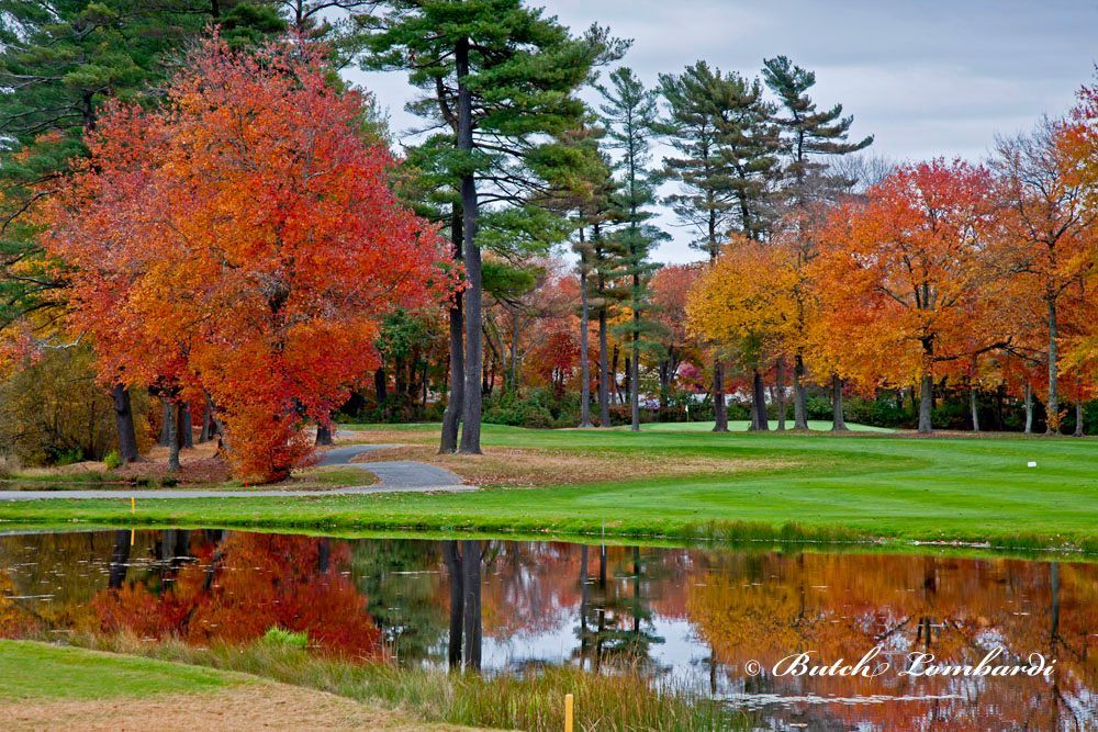 A golf course surrounded by trees with autumn leaves reflected in the water