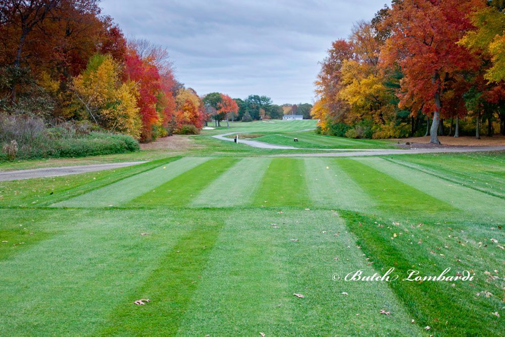 A picture of a golf course with trees in the background.