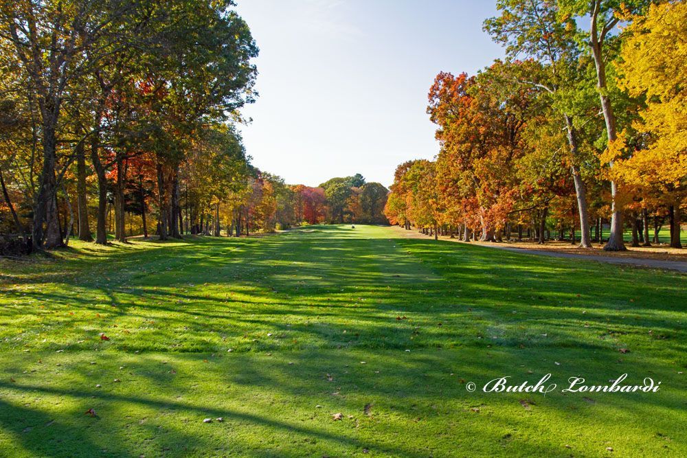 A picture of a golf course with trees in the background