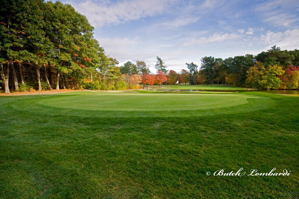 A golf course with a green and trees in the background
