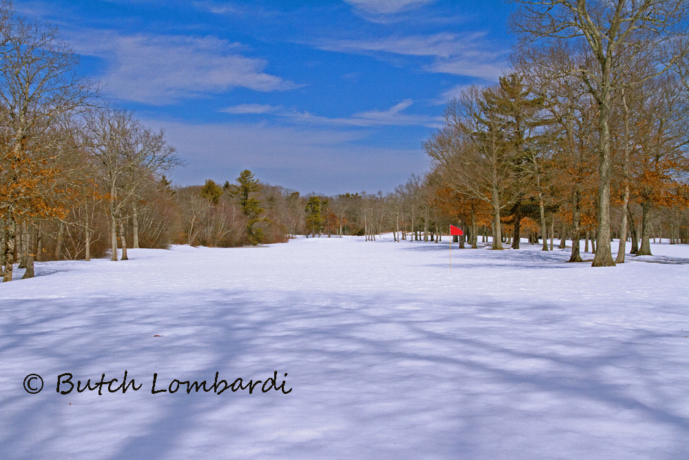 A snowy field with trees in the background and the name butch lombardi on the bottom