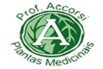 PROF. ACCORSI PLANTAS MEDICINAIS