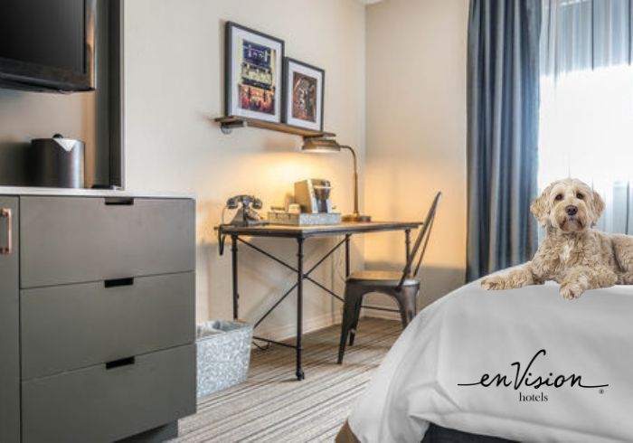 Small room with desk and chair, lamp, framed art, and a dog sitting on a bed near a window.