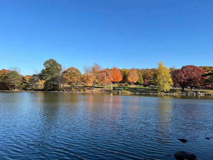 Calm lake with rippling water and colorful autumn trees under a clear blue sky