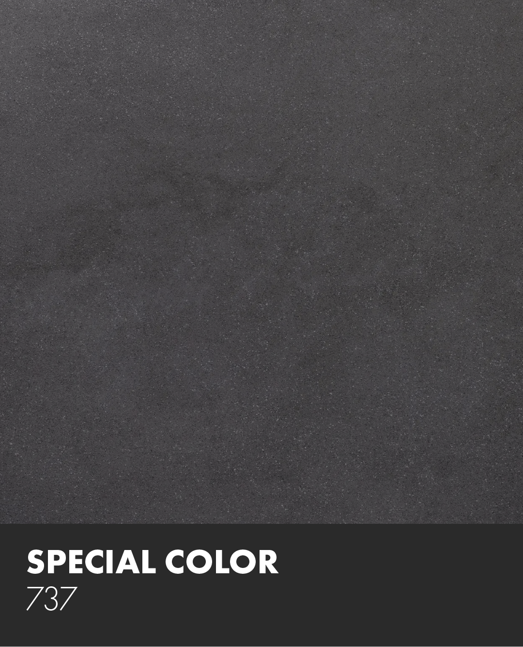 A close up of a black tile that says special color 737