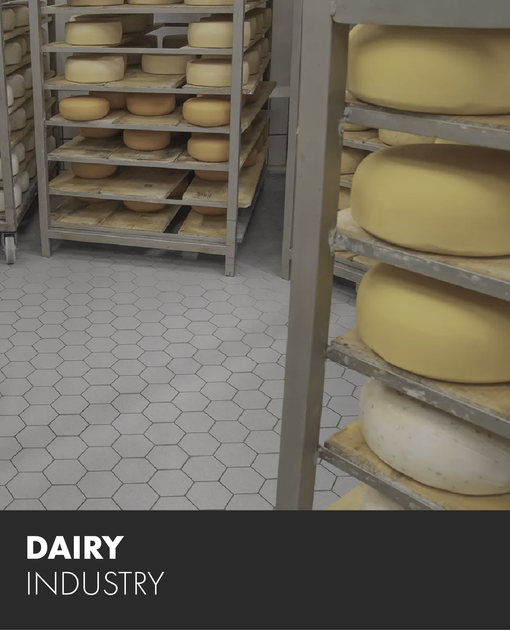 A picture of a dairy industry with cheese on shelves
