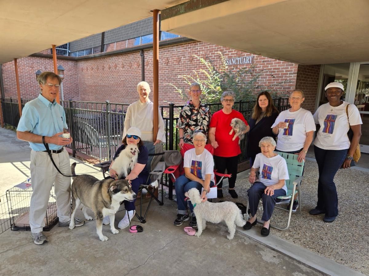 A group of people and their dogs are posing for a picture.