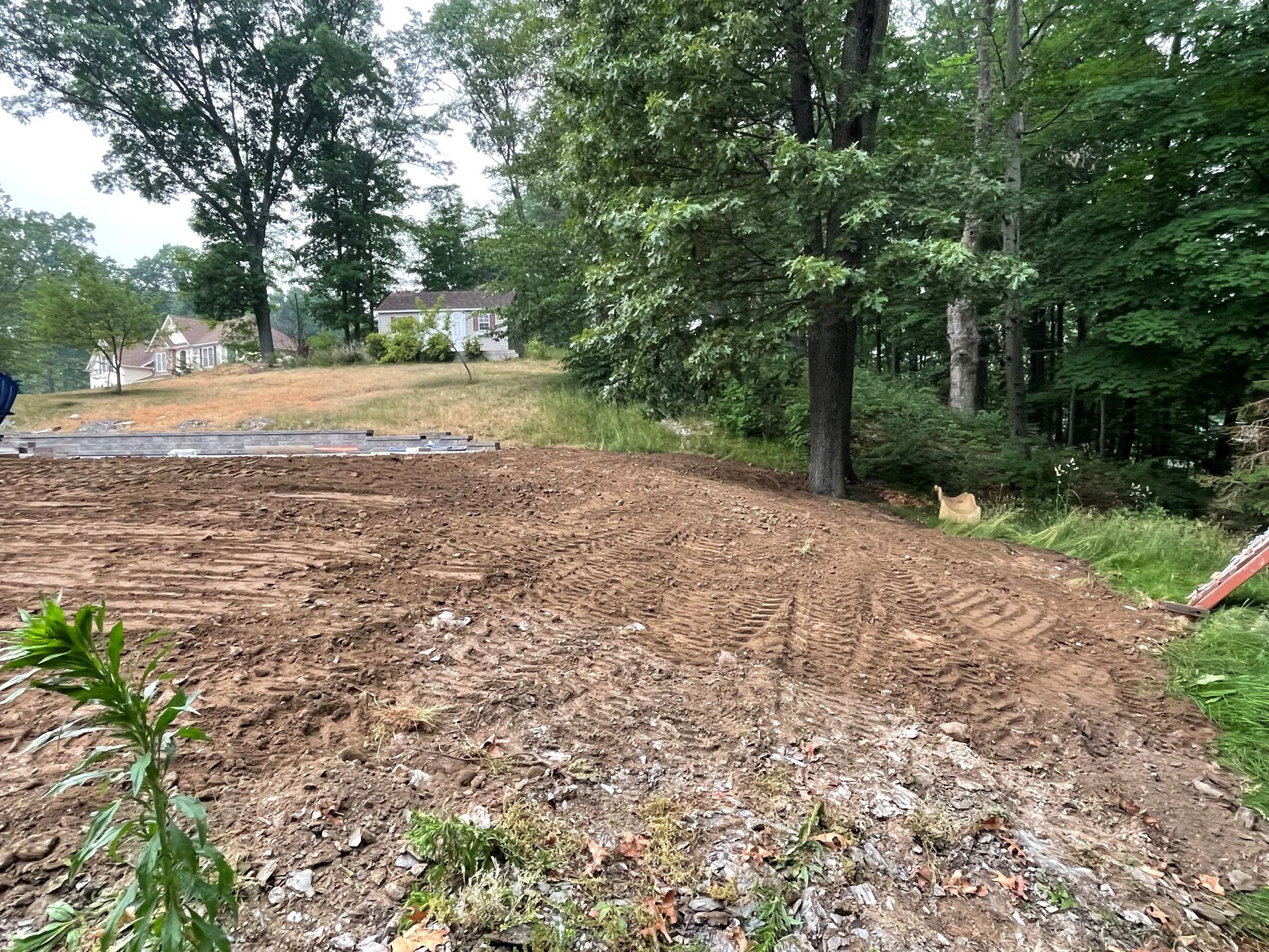 Tree Trimming Services Near Me Husdon Valley, NY