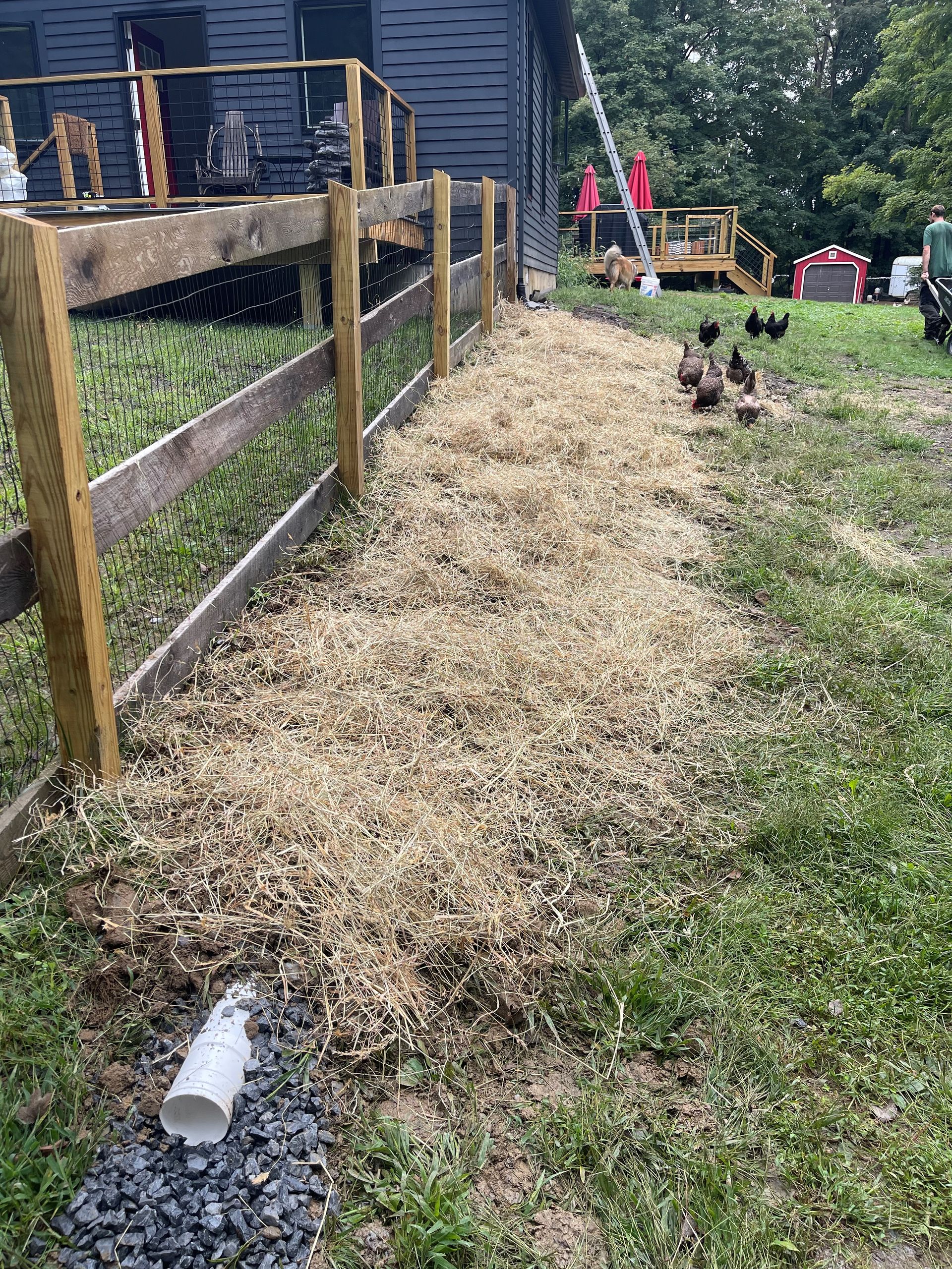 Tree Trimming Services Near Me Husdon Valley, NY