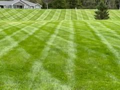Landscape Field— Hudson Valley, NY — Bastian Lawn and Landscape