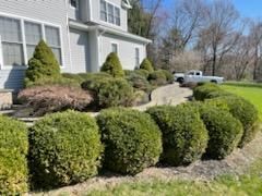 Round Bush — Hudson Valley, NY — Bastian Lawn and Landscape