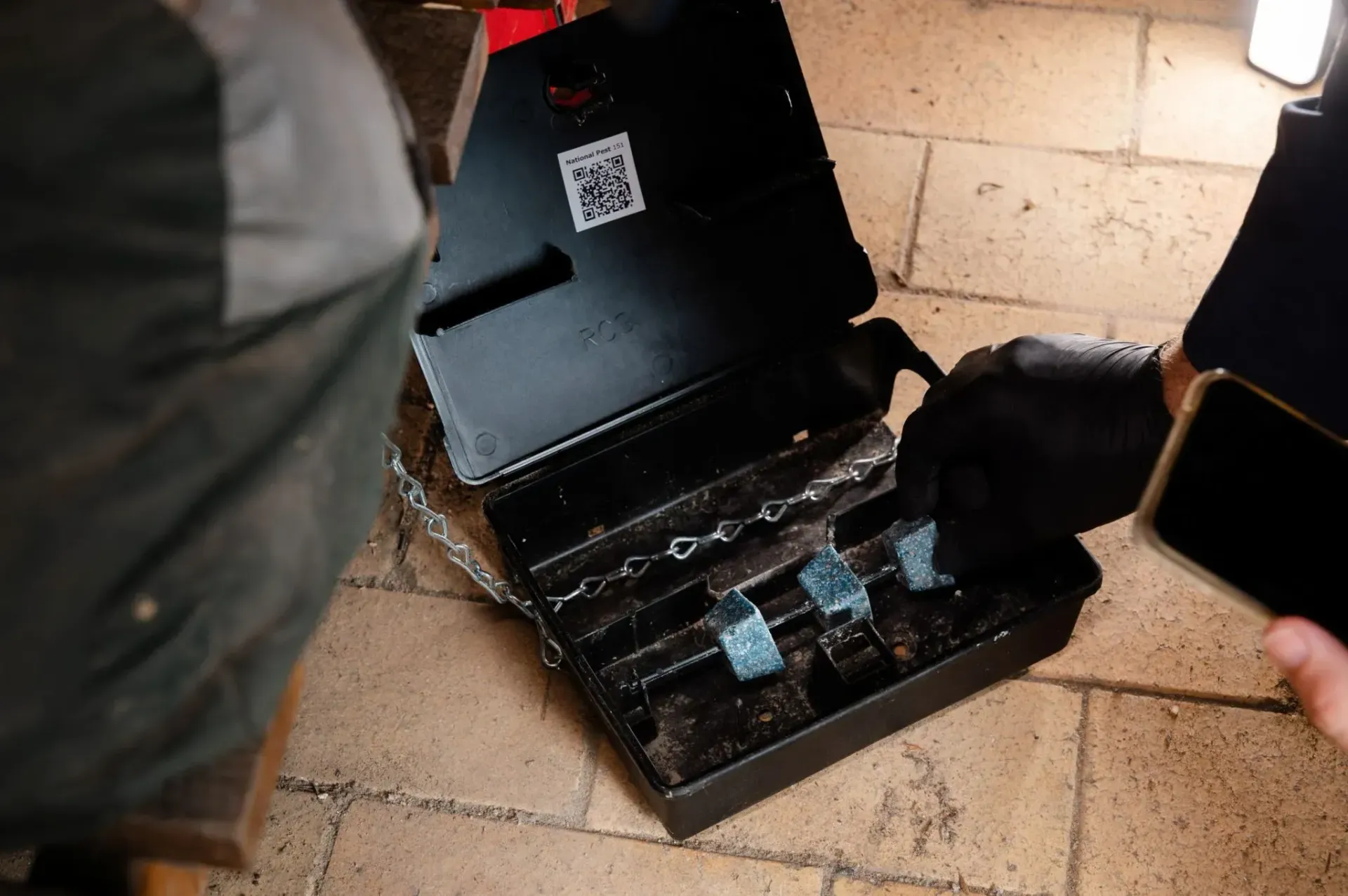 Gloved Hands Fill a Black Tray With Blue Pellets — National Pest Solutions in Upper Caboolture, QLD