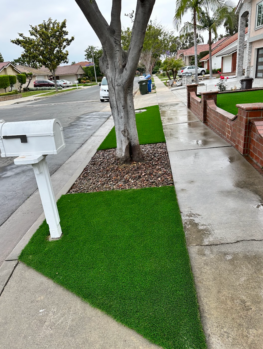 Residential sidewalk with a white mailbox, tree, and concrete path beside a quiet street and houses