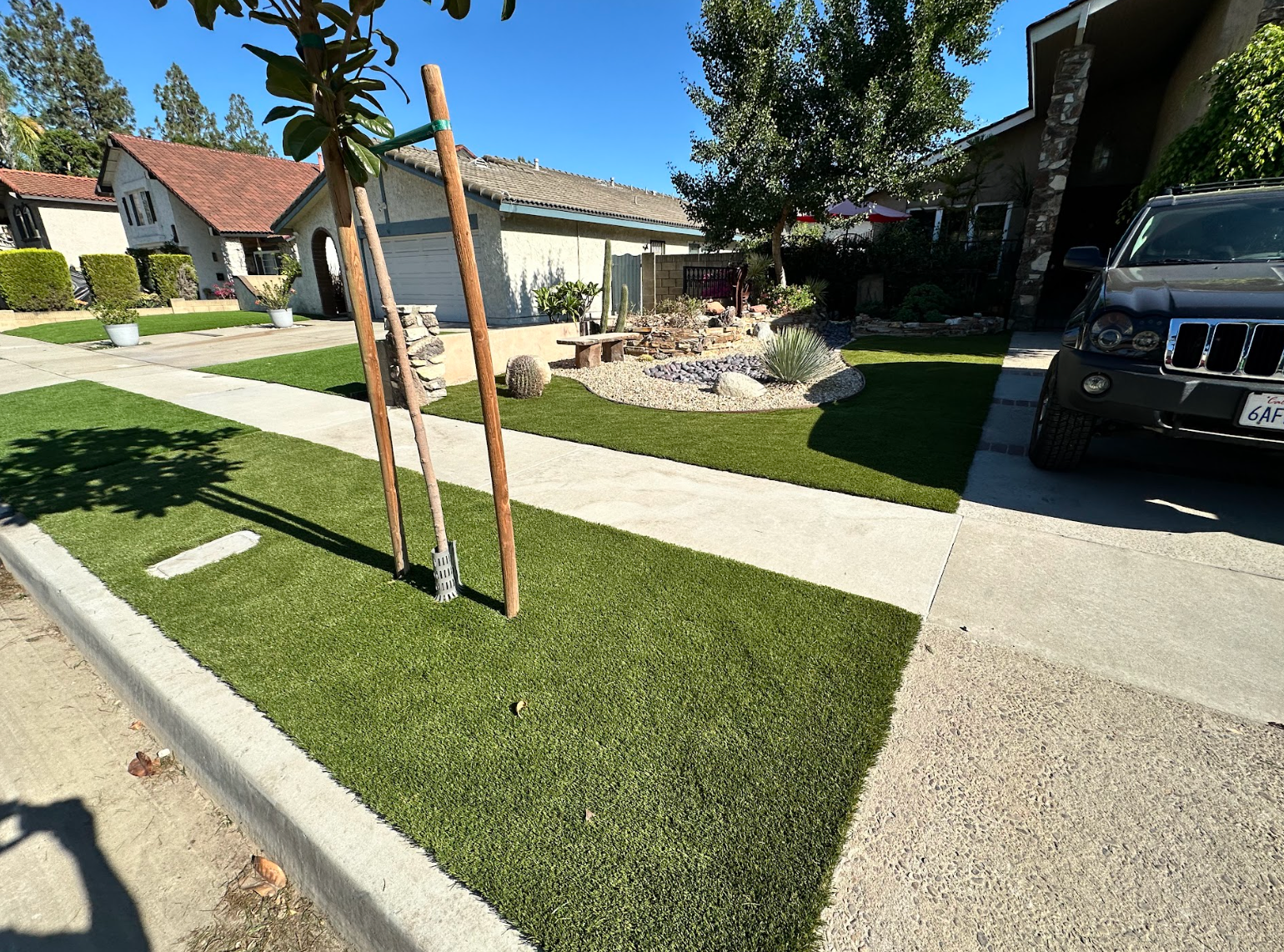 Suburban front yard with a newly planted staked tree, sidewalk, and parked black SUV on a sunny day