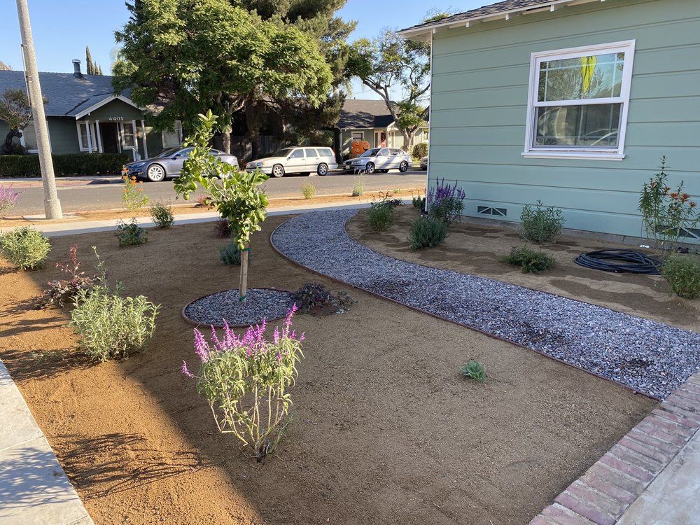 Front yard garden with young shrubs, a gravel path, and a mint-green house in the background