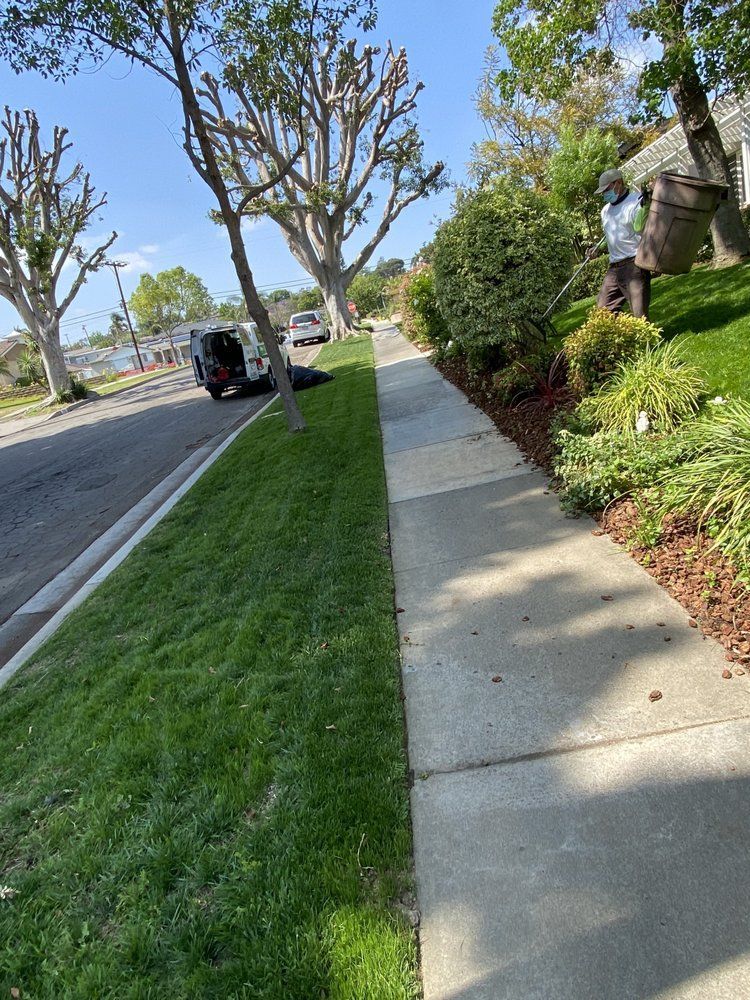 Residential sidewalk beside a grassy verge and street, with trees, shrubs, and a parked SUV in the distance
