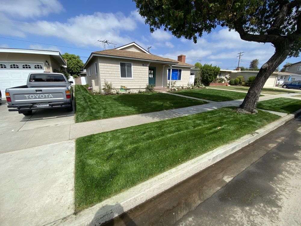 Suburban house with a lawn, driveway, pickup truck, and sidewalk on a sunny day