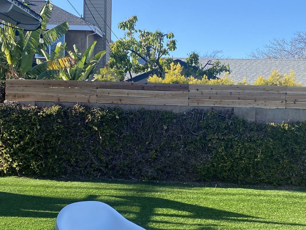 Backyard with green lawn, hedge, wooden fence, and a white chair under a clear blue sky.