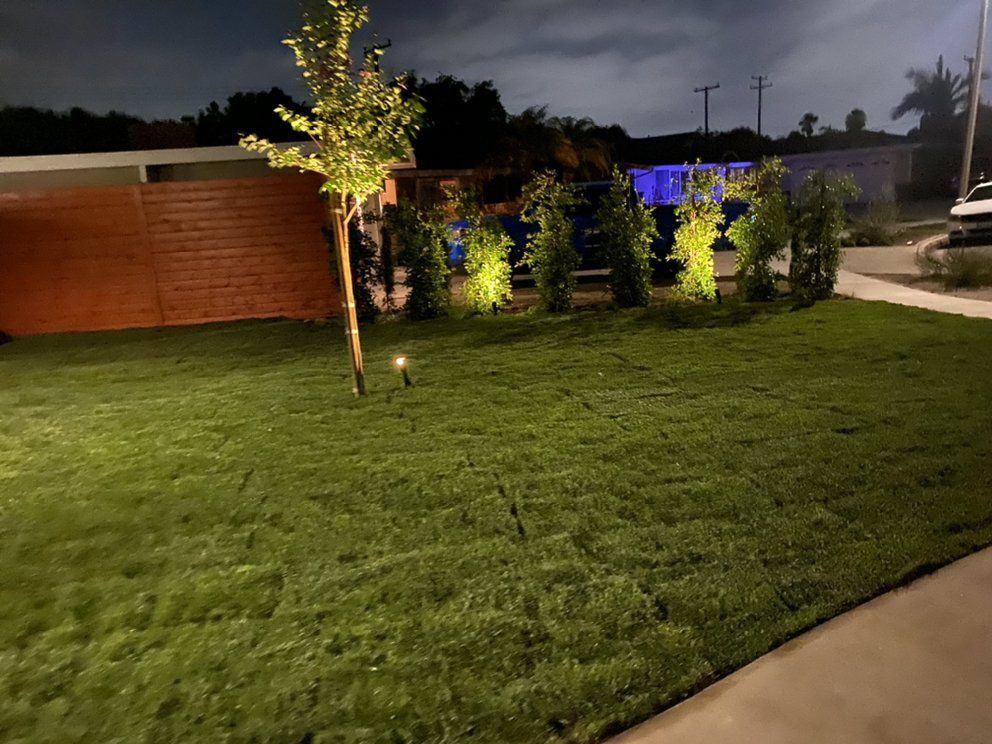 Nighttime landscaped yard with green lawn, lit tree, shrubs, and a brick wall along the back.