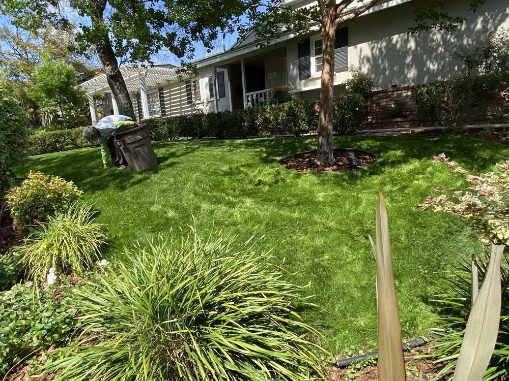Sunny front yard with green lawn, shrubs, and a house porch in the background