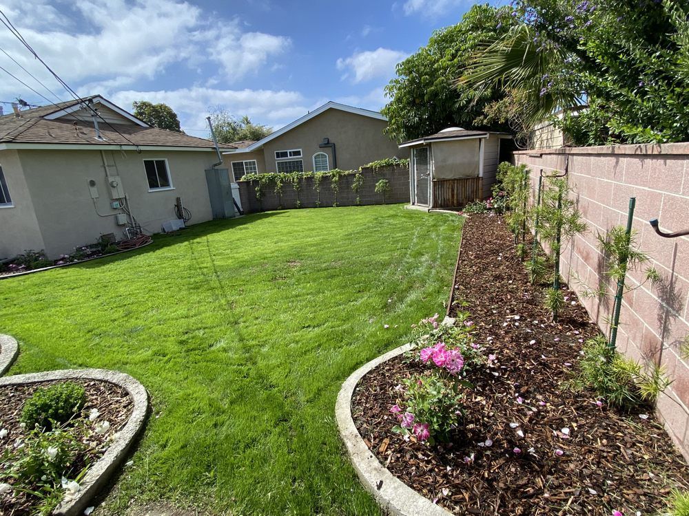 Backyard with green lawn, curved flower beds, and a fence beside a house under a partly cloudy sky