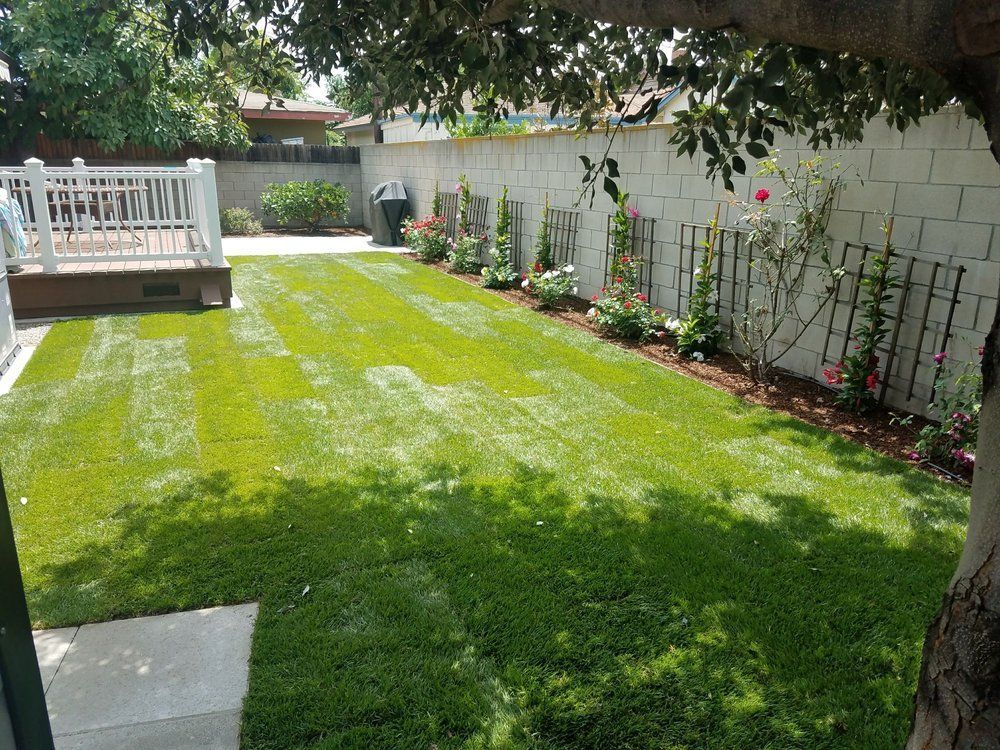 Sunlit backyard lawn with a white deck, flower beds, and a vine-covered fence alongside a tree trunk