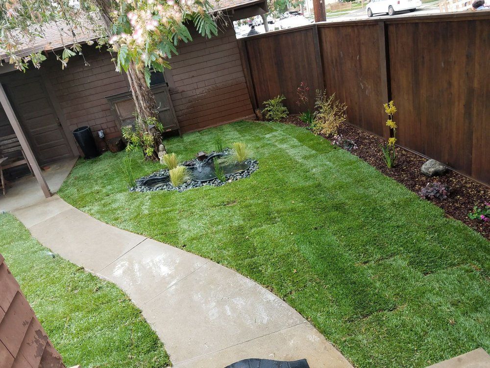 Backyard garden with curved wet concrete path, green lawn, and wooden fence around a small pond.