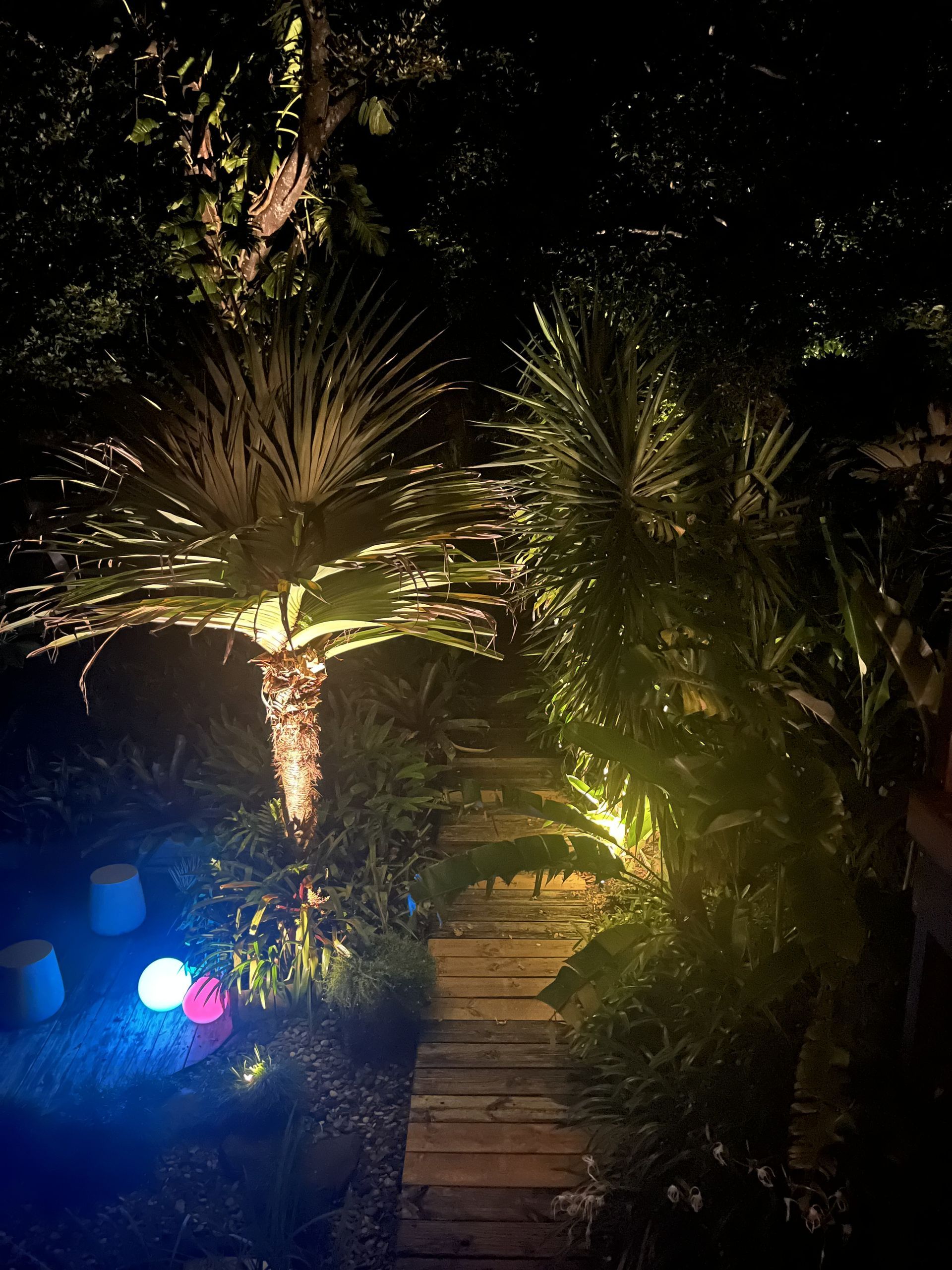 Path Lit at Night Through a Garden — Intolec Electrical in Tweed Heads, NSW