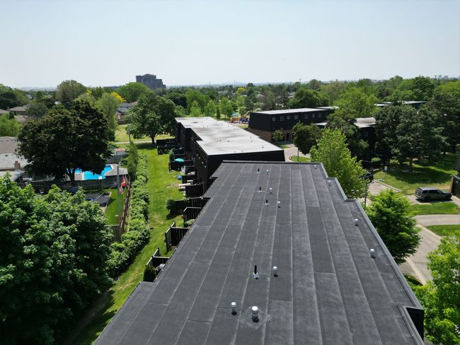 Aerial view of a tree-lined neighborhood with rooftops and a swimming pool in the distance