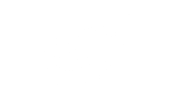 Mostly blank white rectangle with a solid black bar along the bottom.