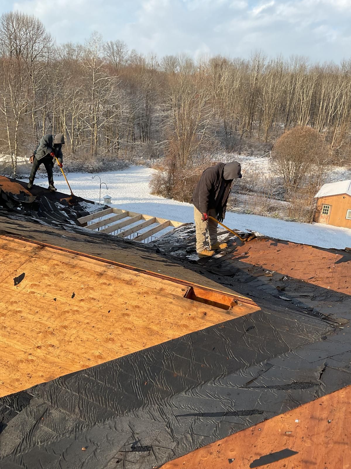 Two people strip old roofing materials off a wooden roof deck during a winter day with snow visible in the background.