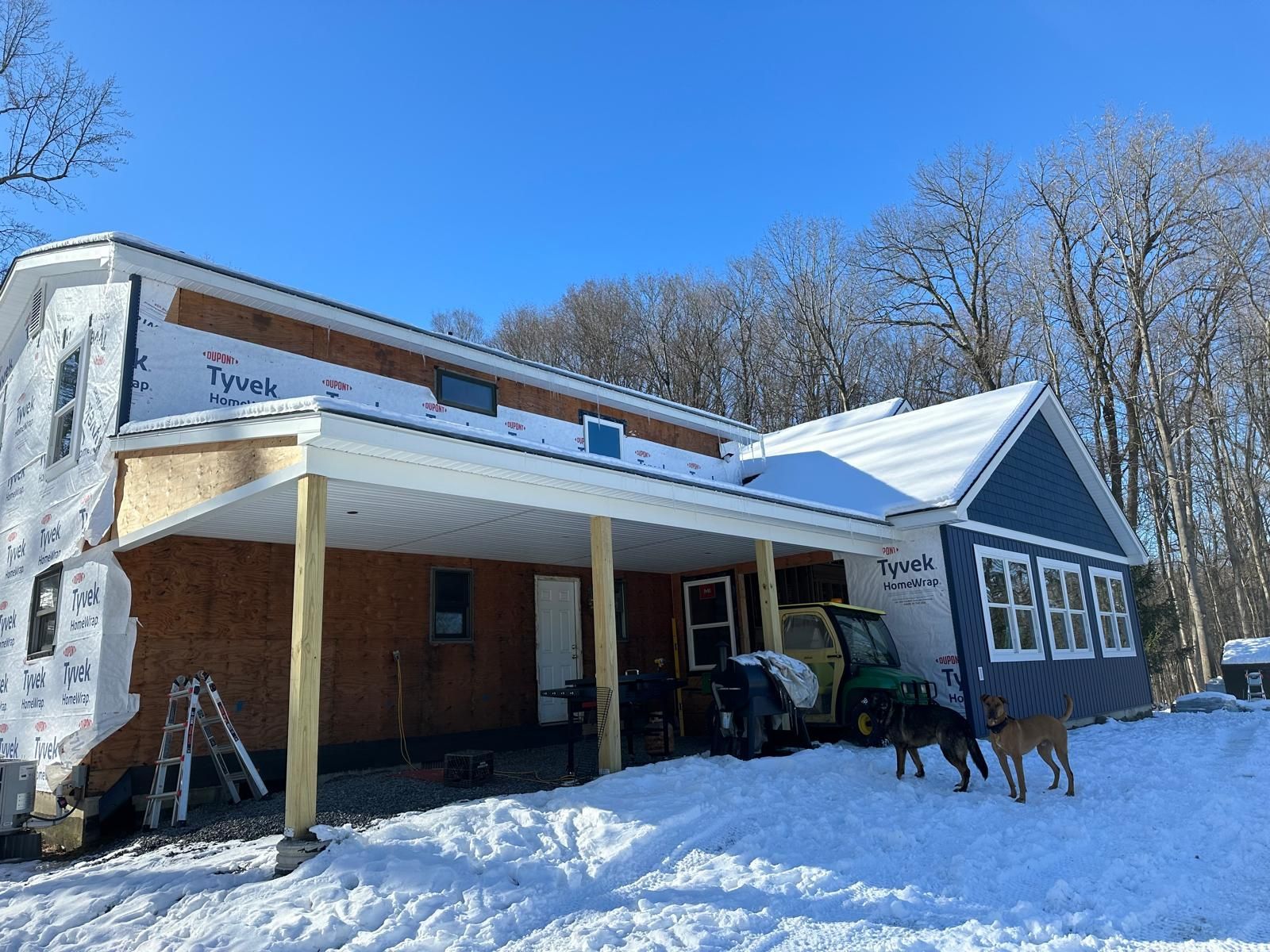 A two-story house under construction with a snow-covered yard, featuring blue siding and two dogs standing outside.