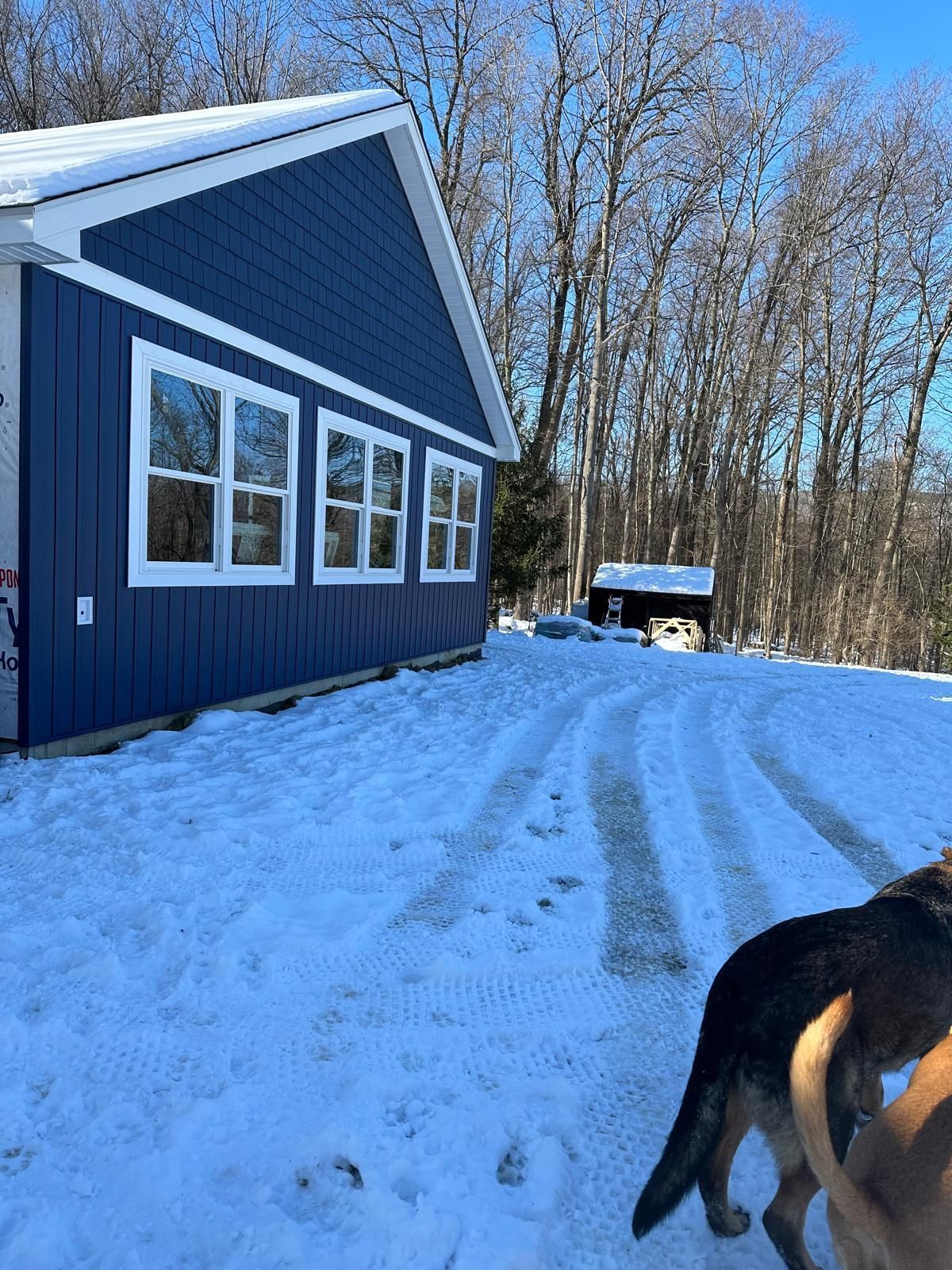 A blue house with white trim sits on a snow-covered yard with tire tracks, set against a background of bare trees.